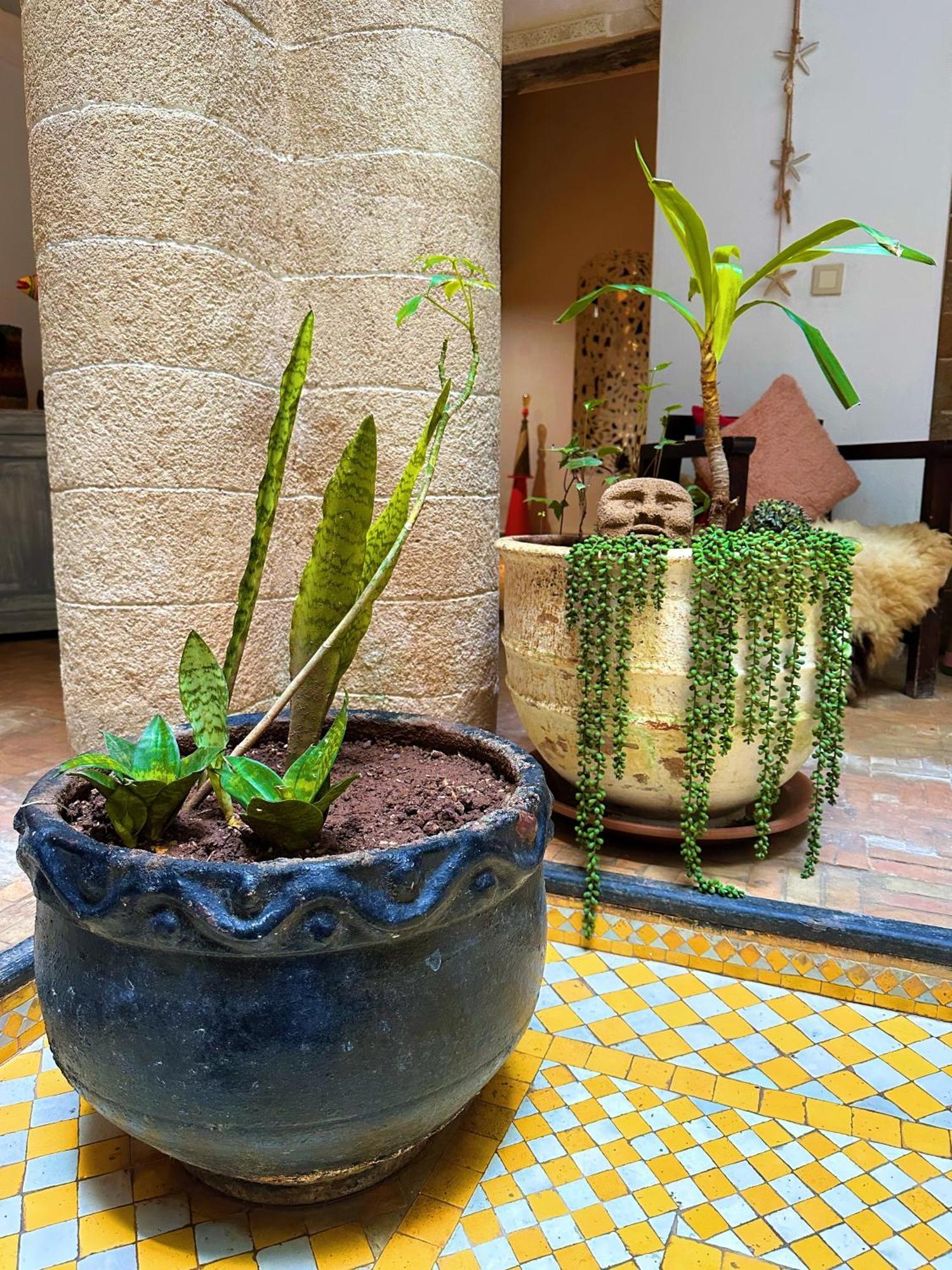 Les Terrasses D'Essaouira - Yoga Studio מראה חיצוני תמונה