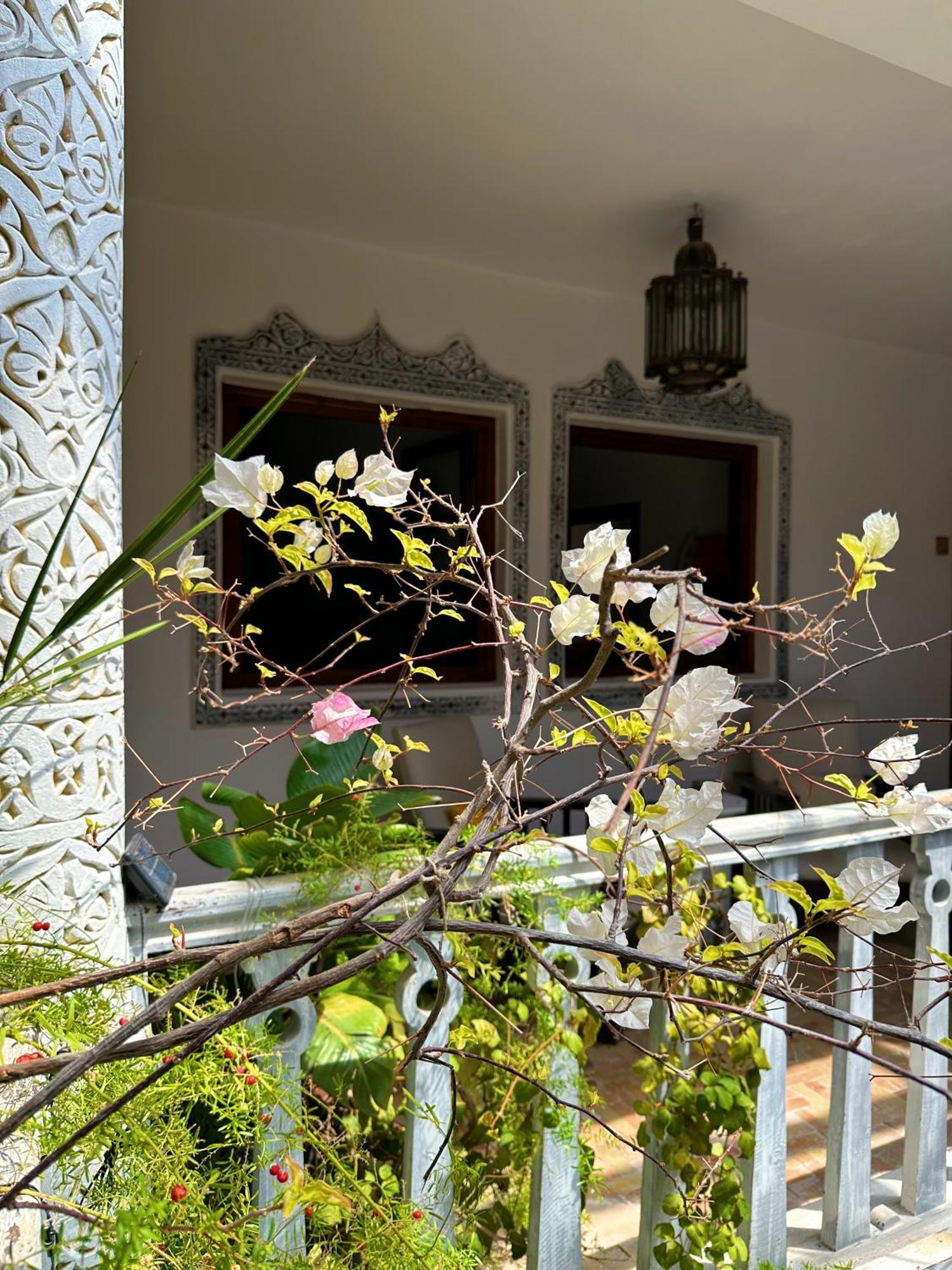 Les Terrasses D'Essaouira - Yoga Studio מראה חיצוני תמונה