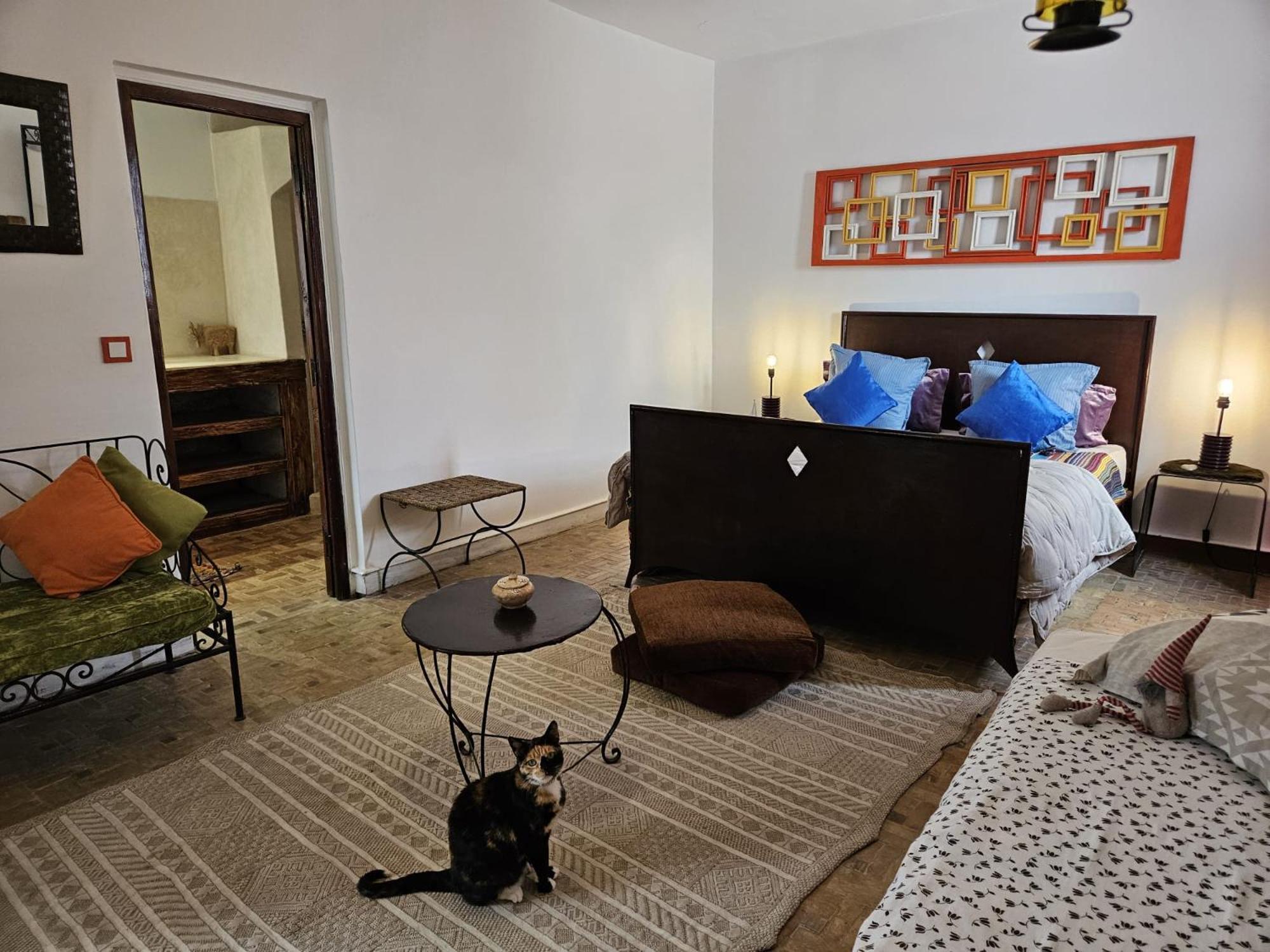 Les Terrasses D'Essaouira - Yoga Studio מראה חיצוני תמונה